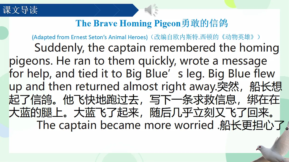 17975892第5页