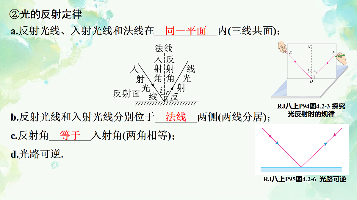 17975908第7页