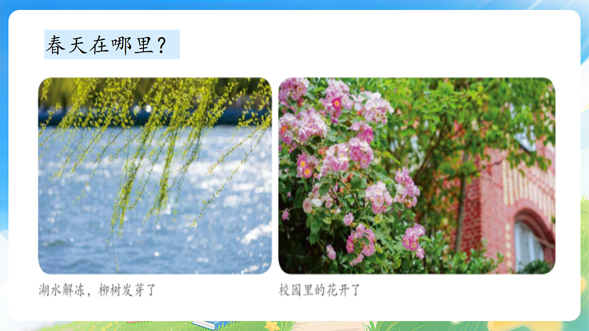 17977833第7页