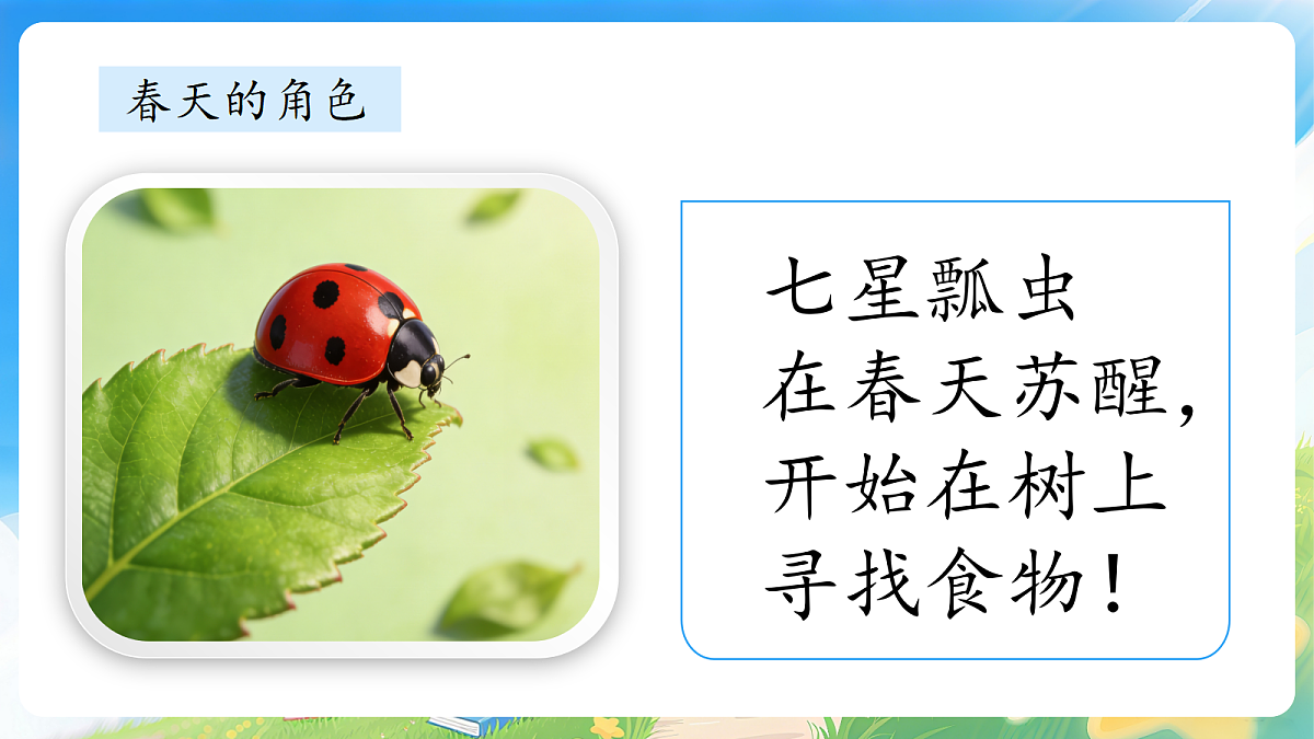 17977835第6页