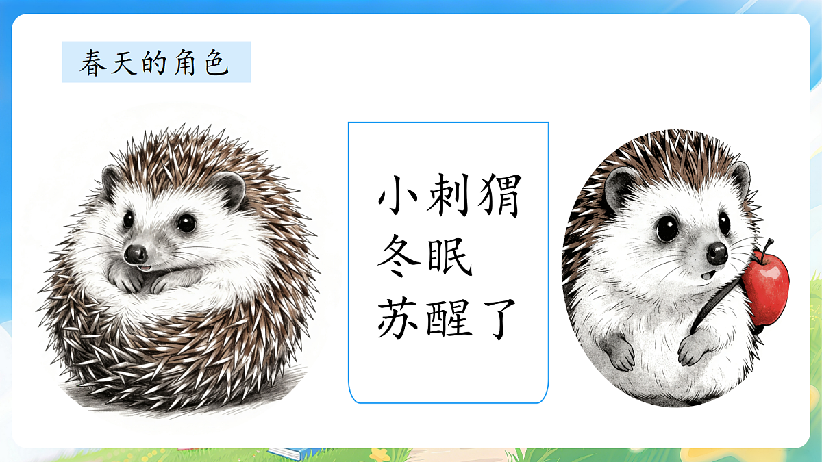 17977835第7页
