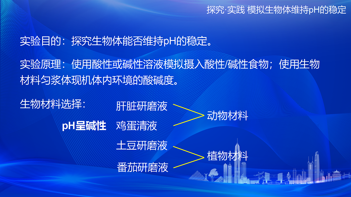 17978407第6页