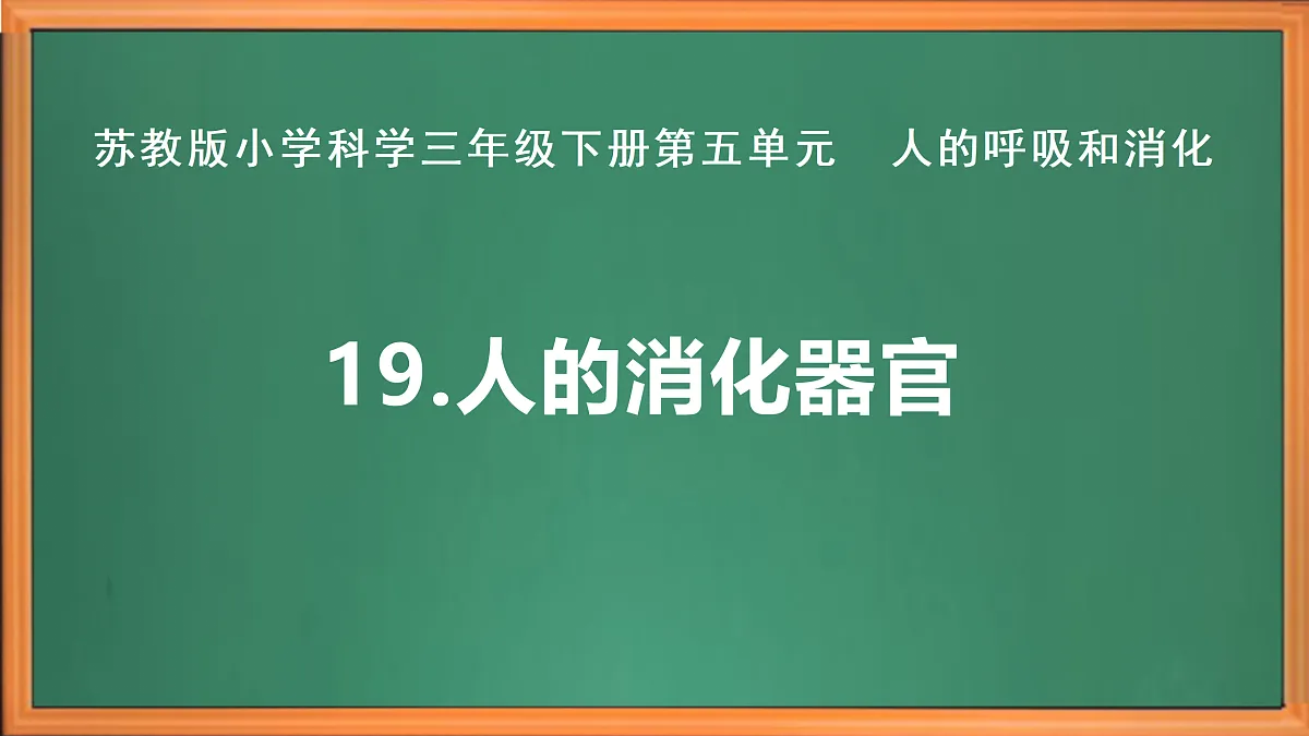 苏教版小学科学三年级下册第五单元《19 人的消化器官》课件+作业设计+视频第2页