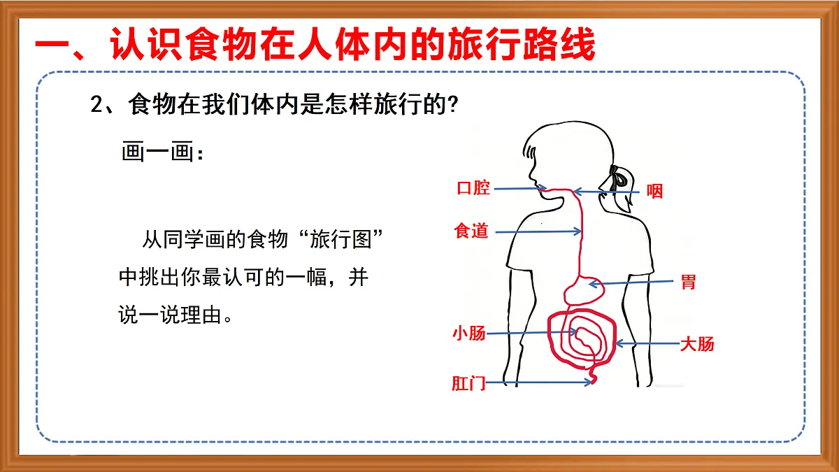 苏教版小学科学三年级下册第五单元《19 人的消化器官》课件+作业设计+视频第5页