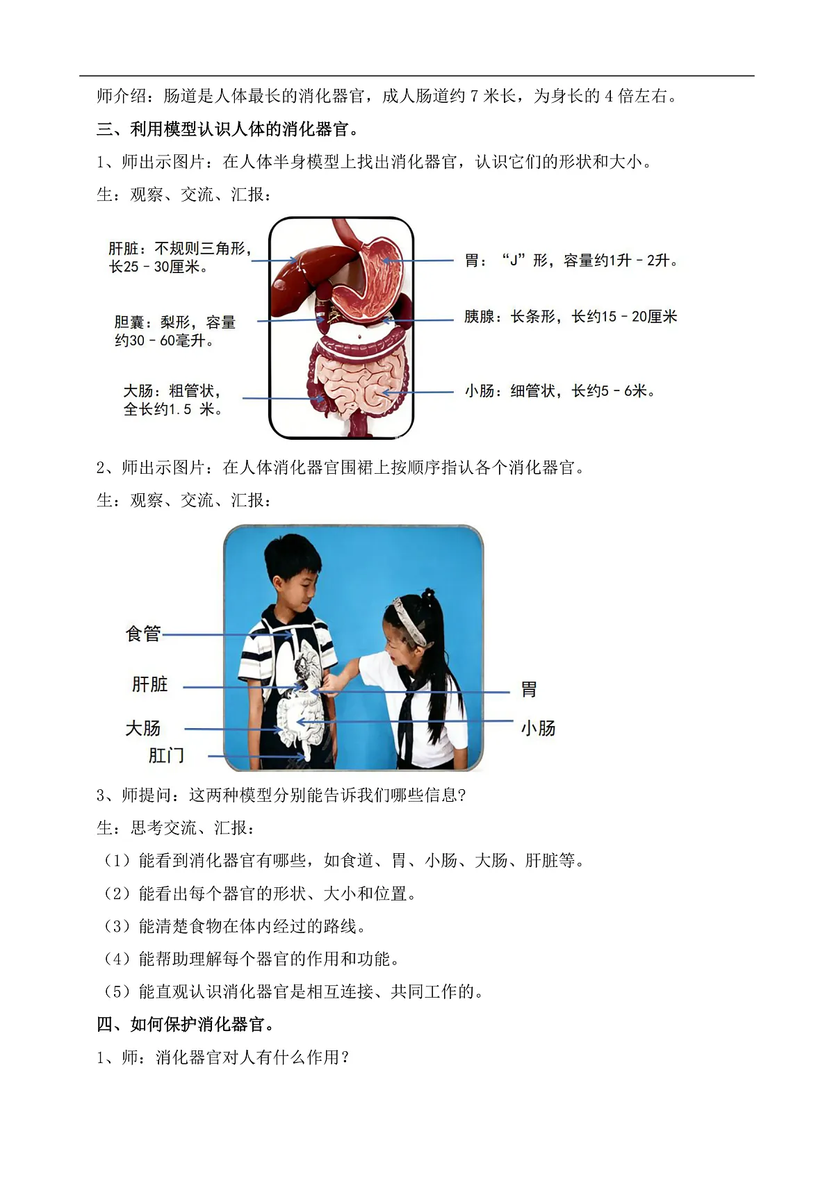 苏教版小学科学三年级下册第五单元《19人的消化器官》教案第3页