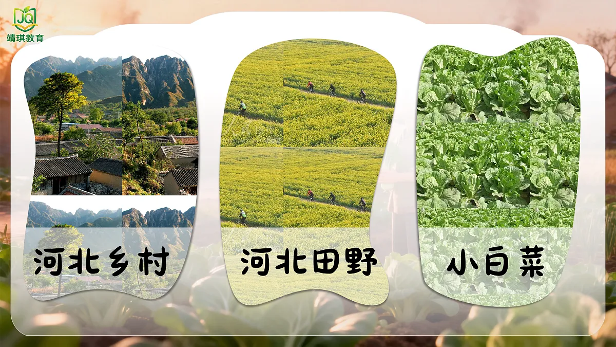 17981544第6页