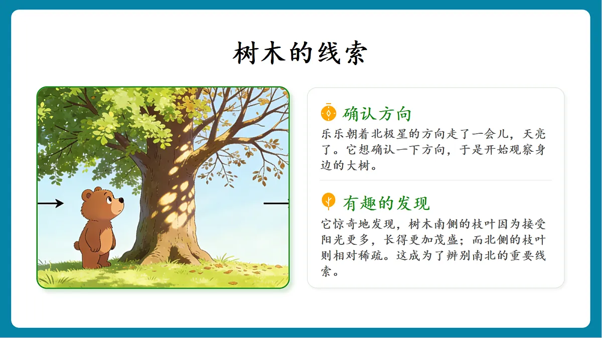 1.2 《利用自然物辨别方向》 课件第5页