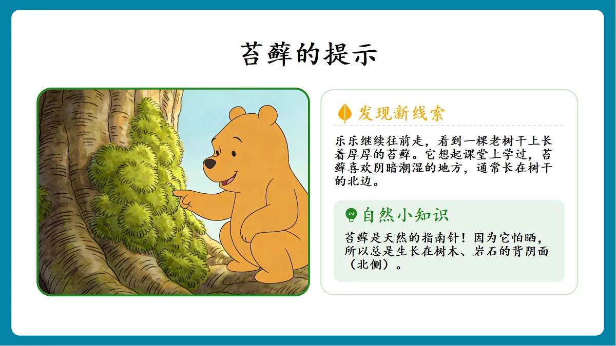 1.2 《利用自然物辨别方向》 课件第6页