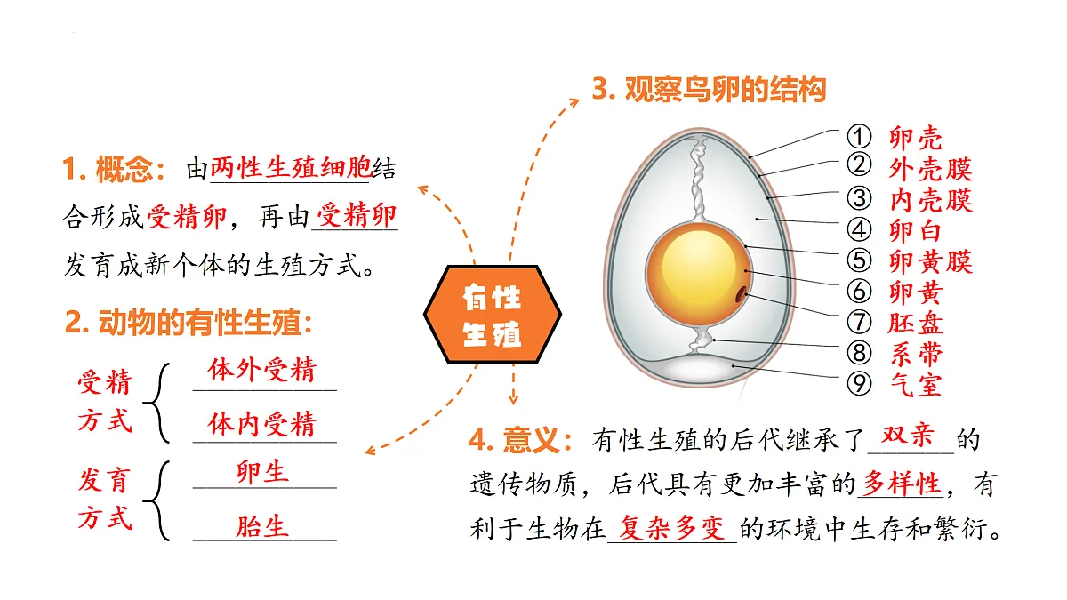 17983457第4页