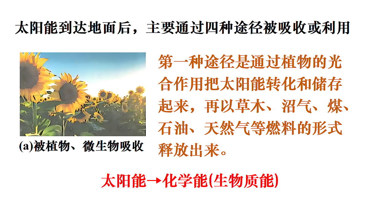 20.2 开发新能源第5页