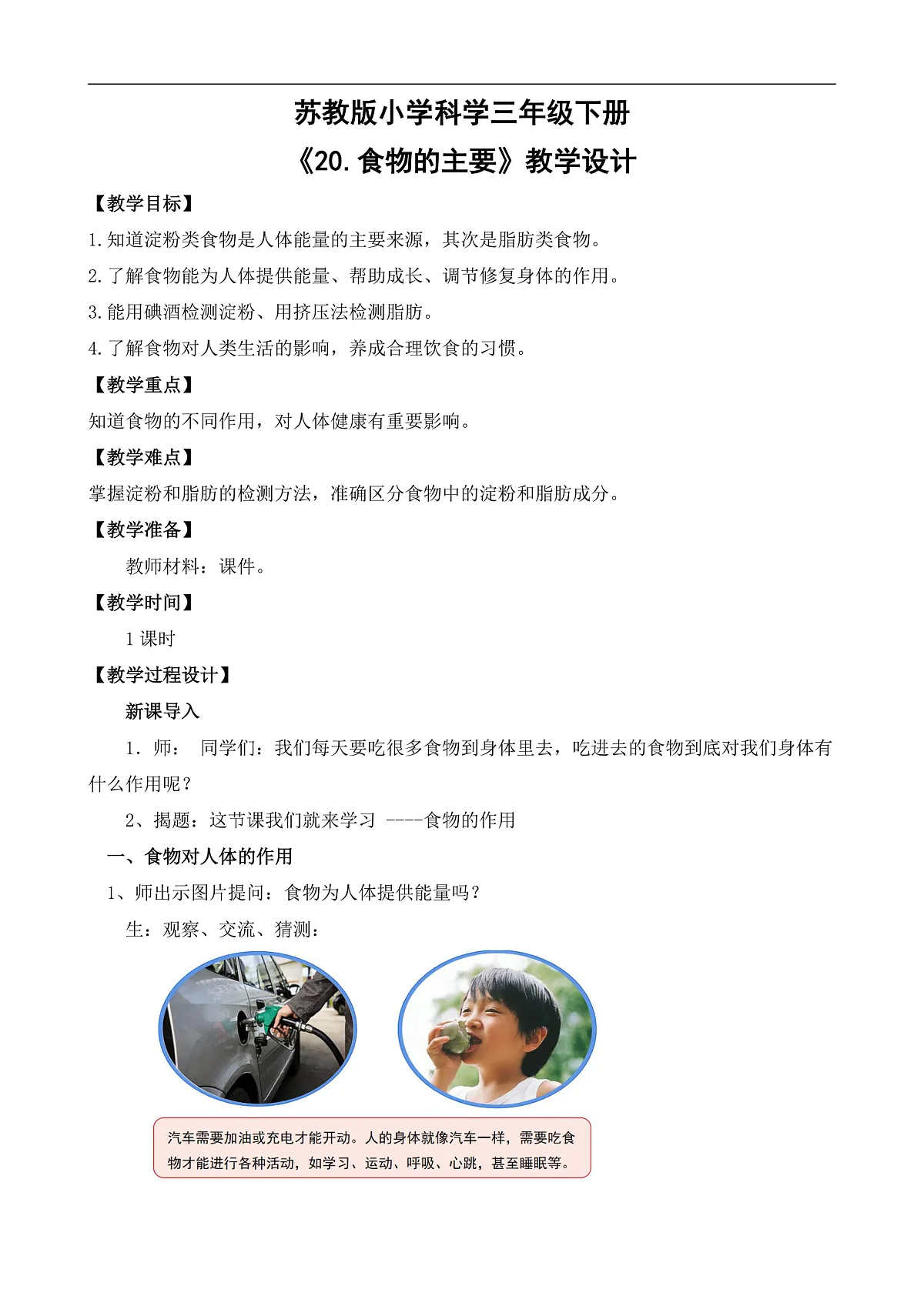 苏教版小学科学三年级下册第五单元《20 食物的主要》教案第1页