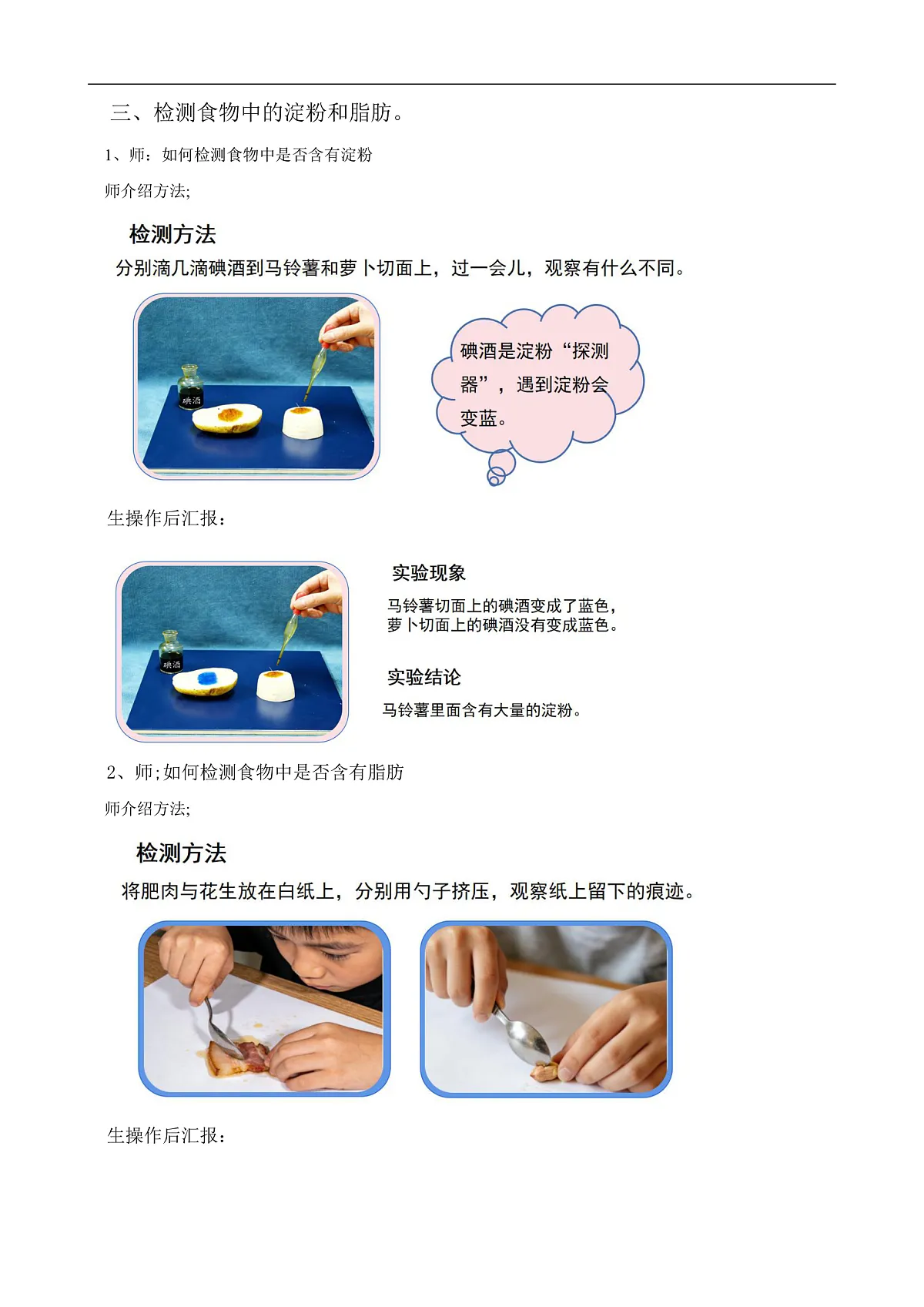 苏教版小学科学三年级下册第五单元《20 食物的主要》教案第3页