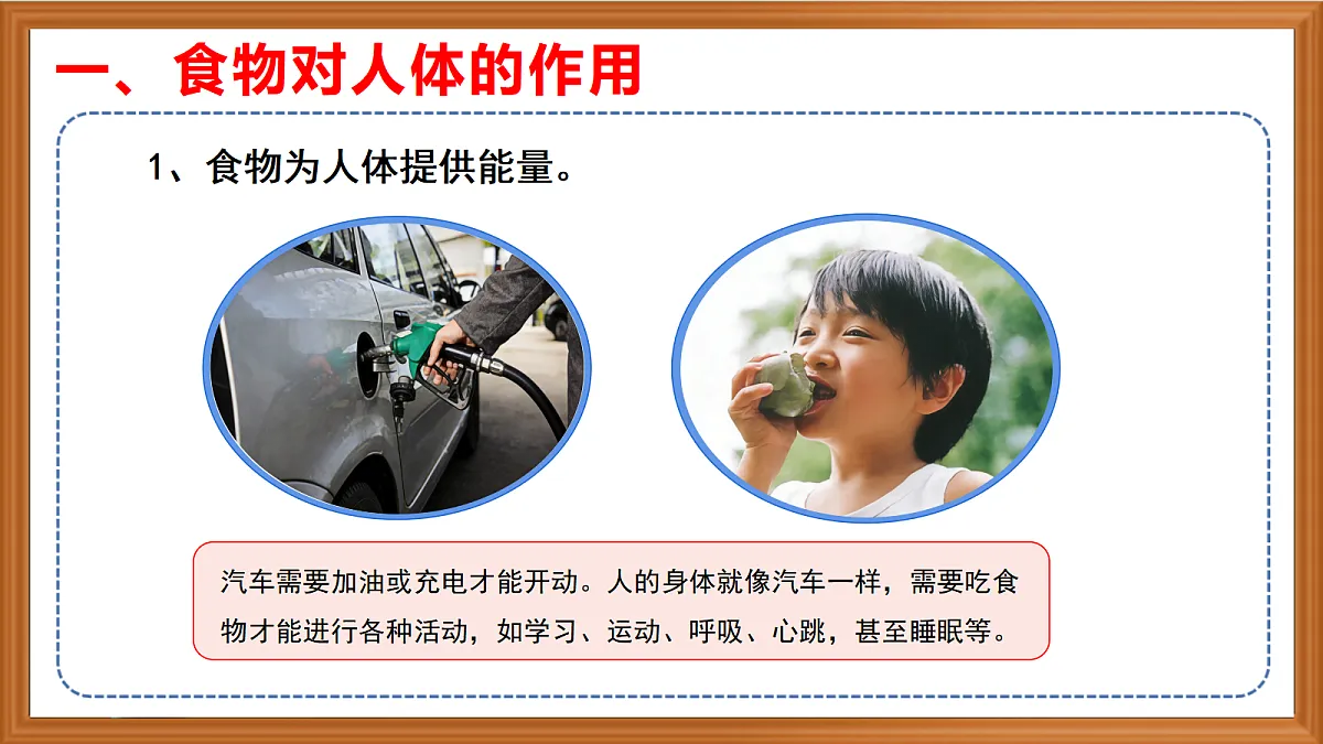 苏教版小学科学三年级下册第五单元《20 食物的作用》课件+作业设计+视频第4页