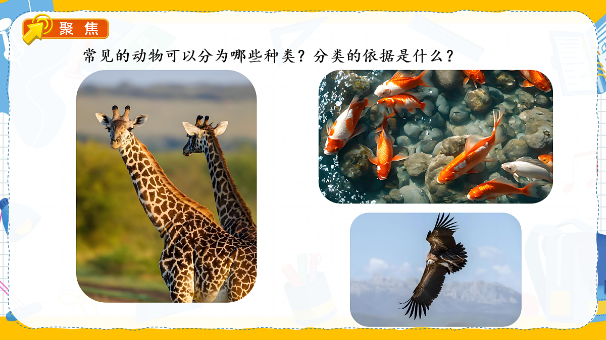 17985314第5页