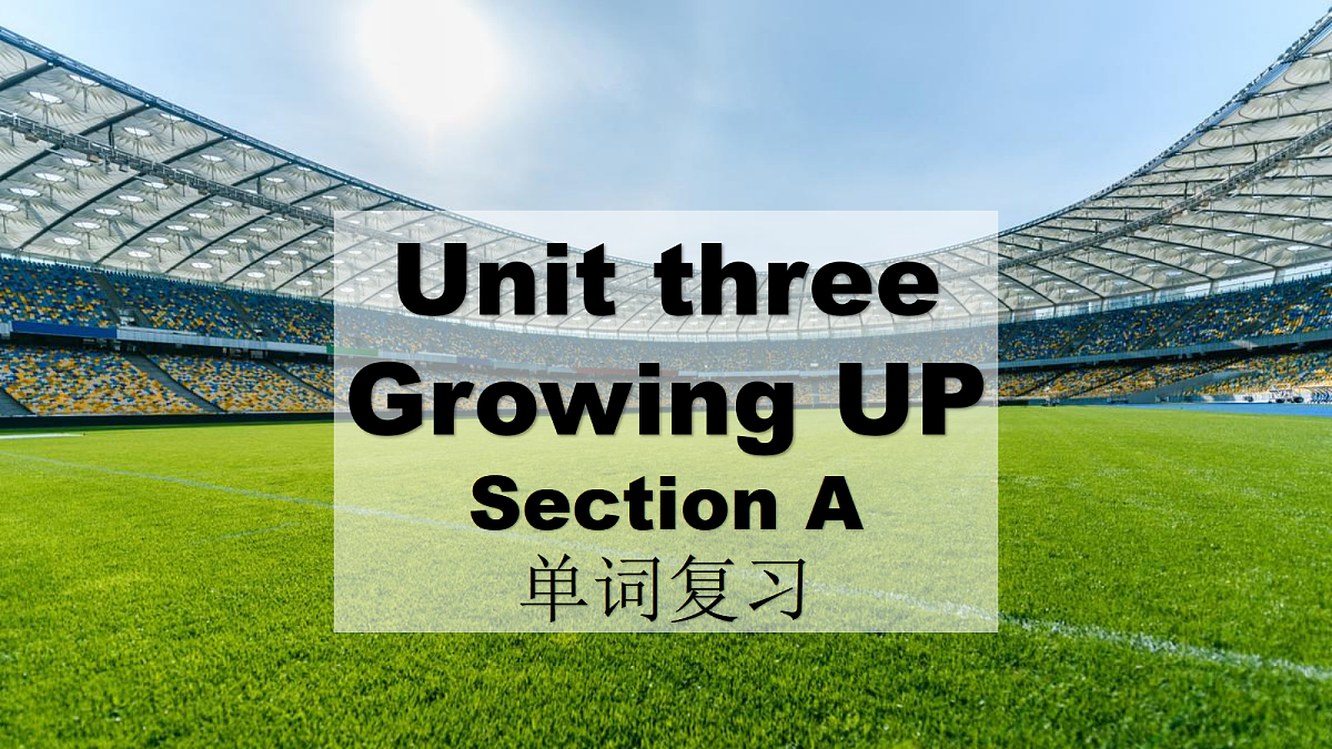 17987704第3页