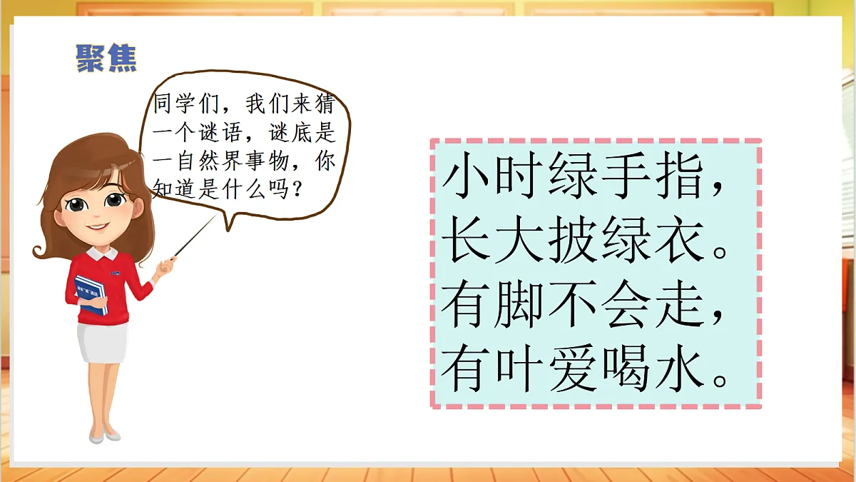 1.1+认识植物(教学课件)科学冀人版一年级下册(新教材)第6页