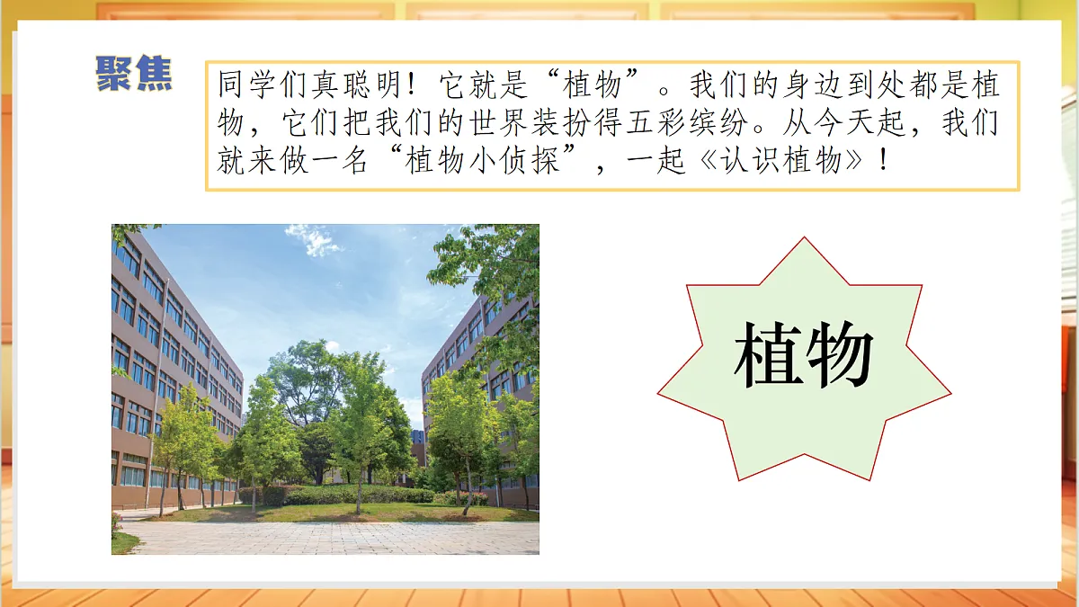 1.1+认识植物(教学课件)科学冀人版一年级下册(新教材)第7页