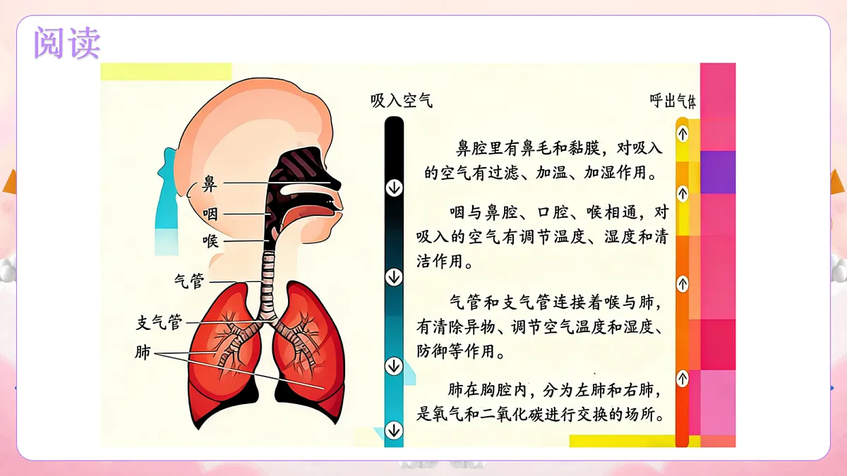 17989579第3页