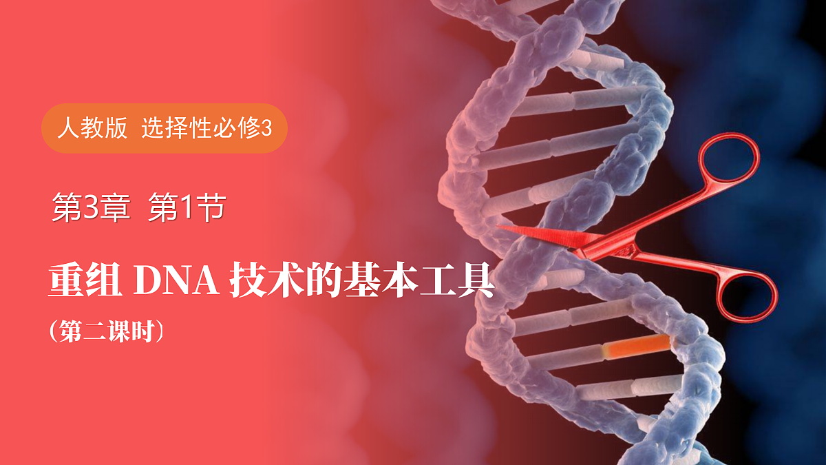 17989906第1页