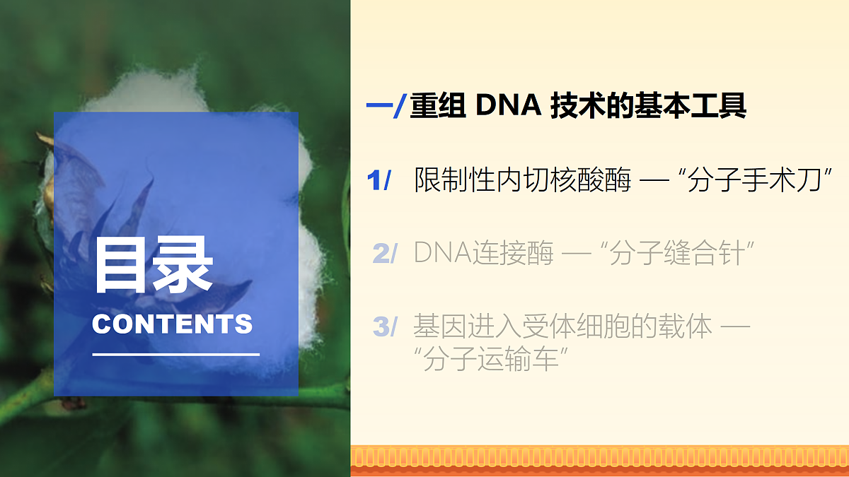 17989906第2页