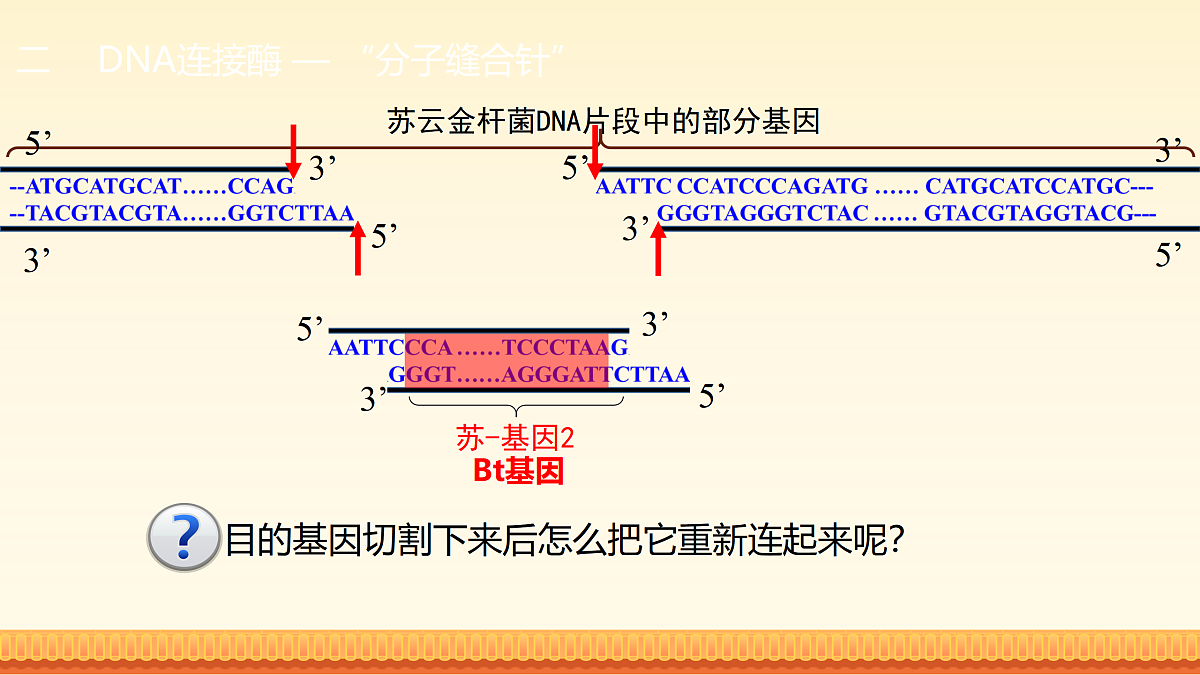 17989906第4页