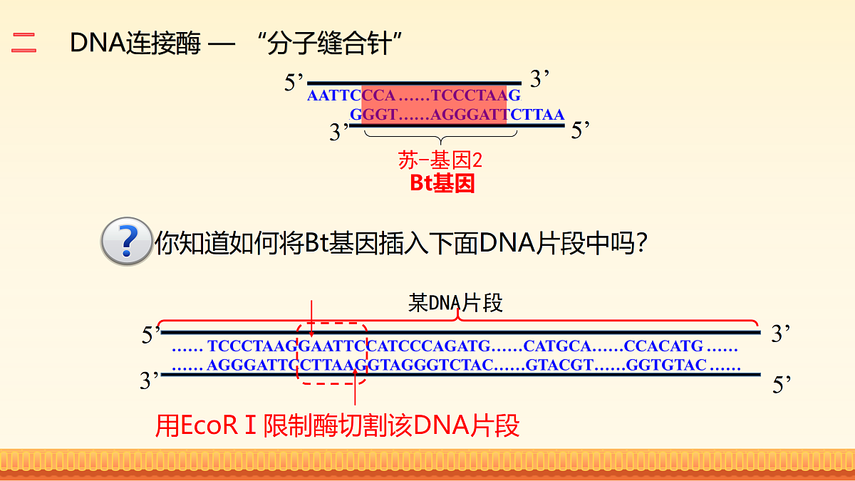 17989906第5页