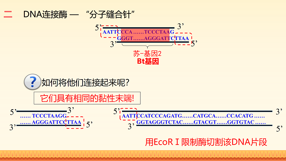 17989906第6页