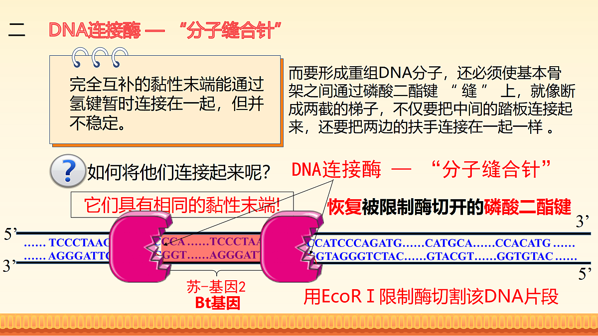 17989906第7页