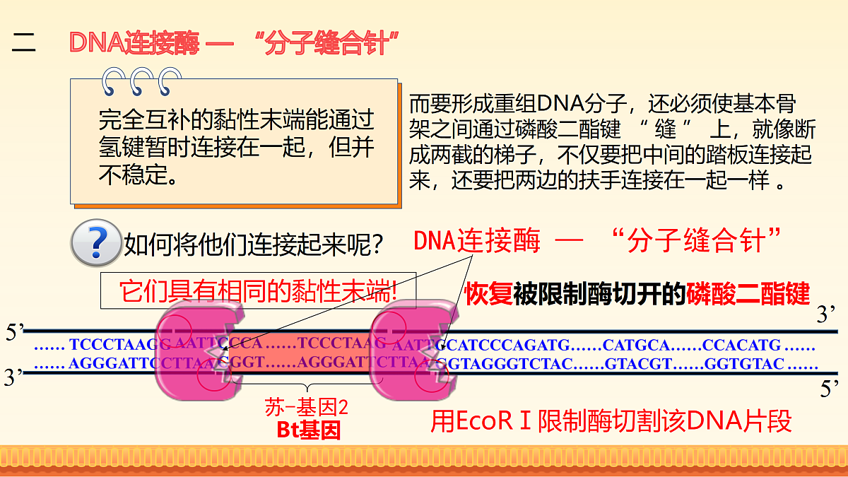 17989906第8页