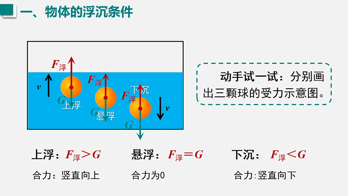 17991464第5页
