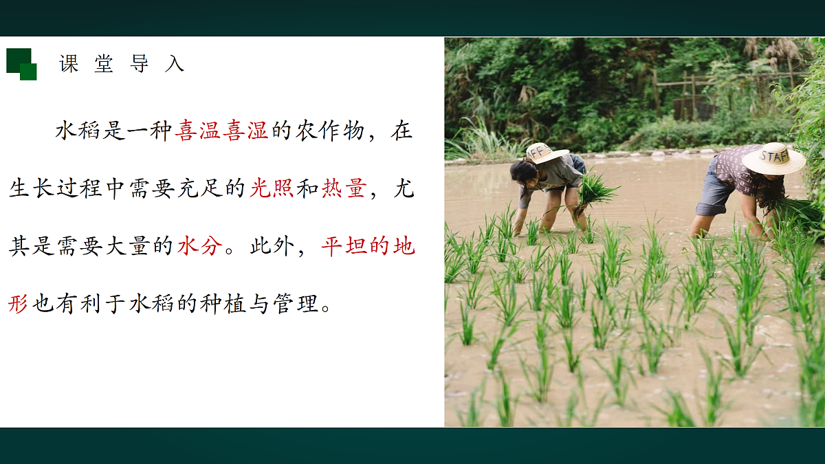 17991743第4页