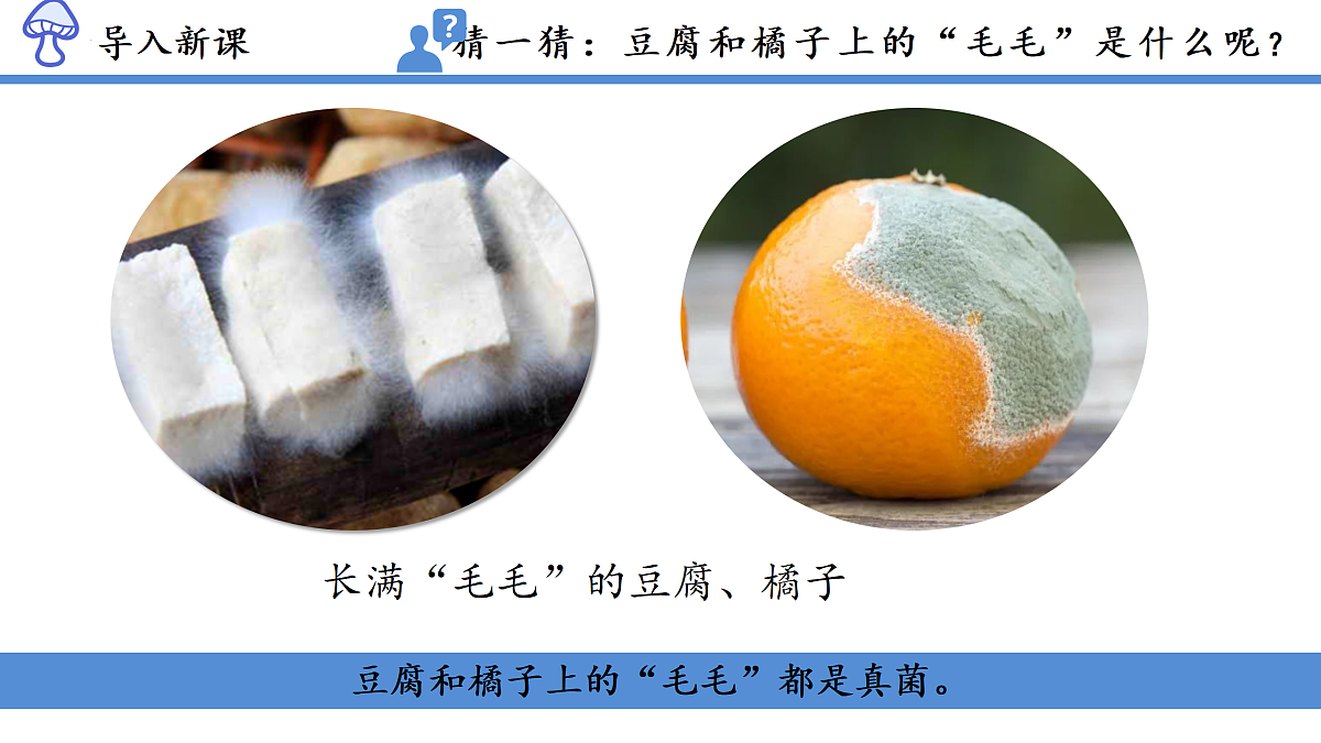 17991879第3页