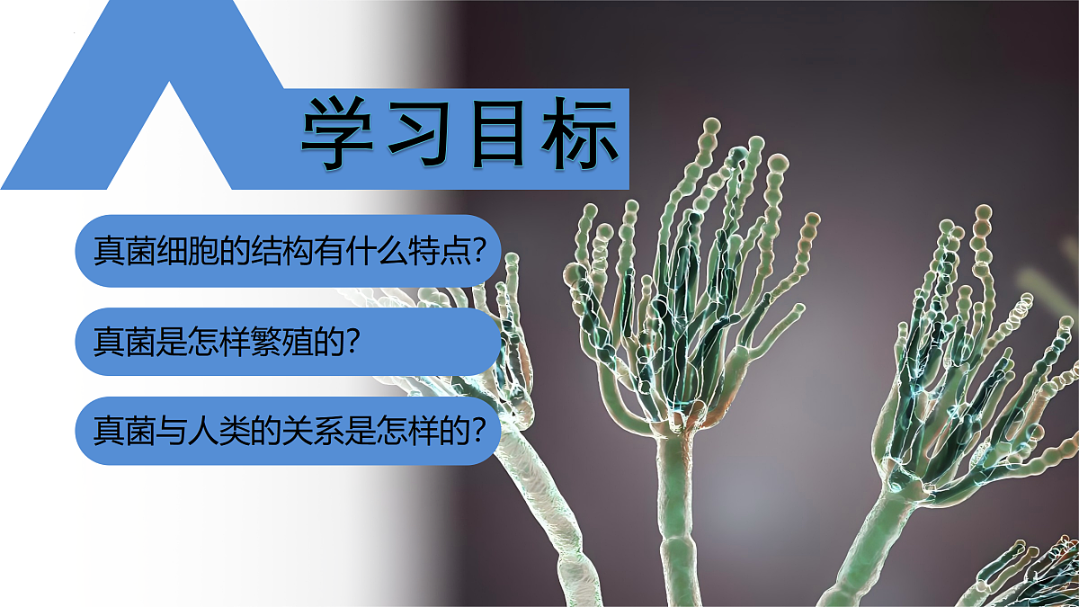 17991879第4页