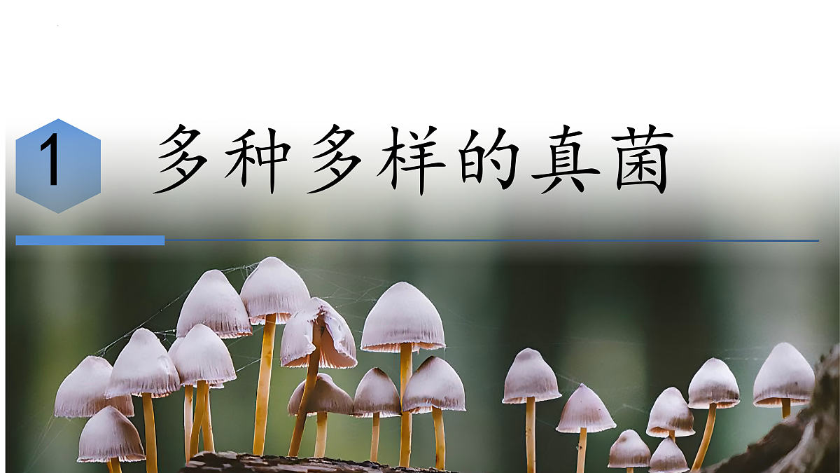 17991879第5页