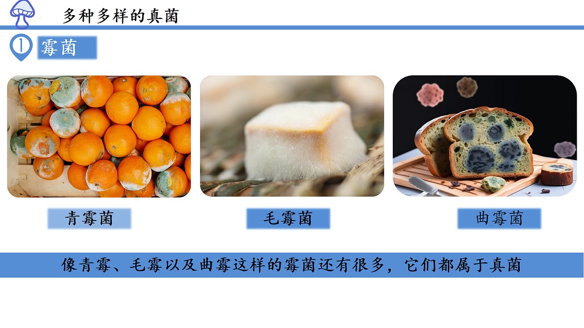 17991879第6页