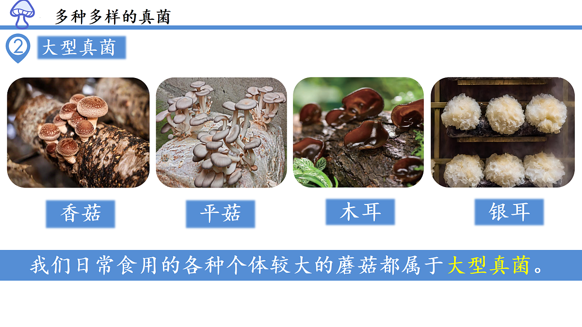 17991879第7页