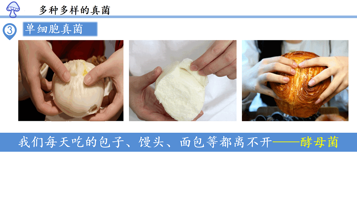 17991879第8页