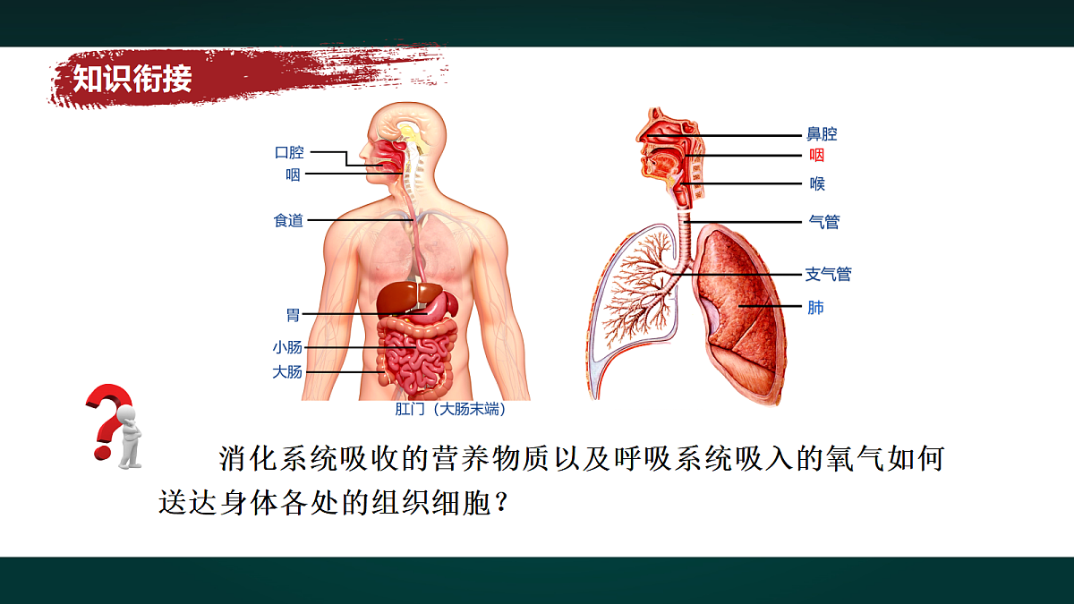 17992022第2页