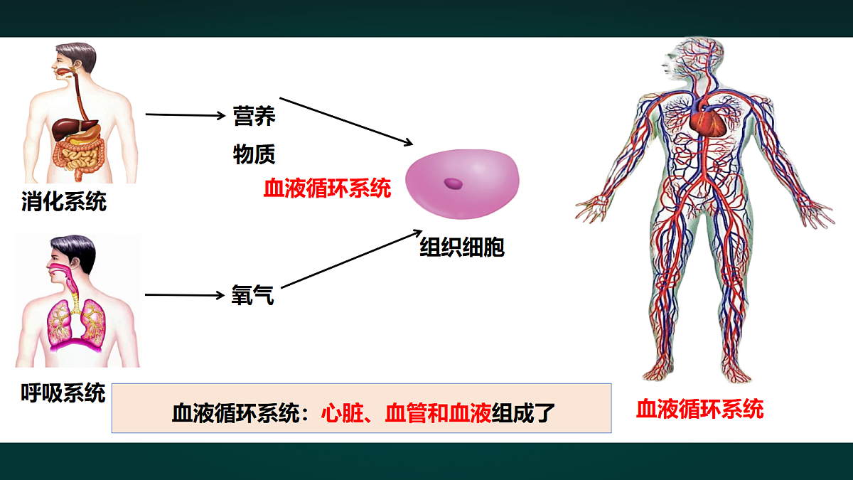 17992022第3页