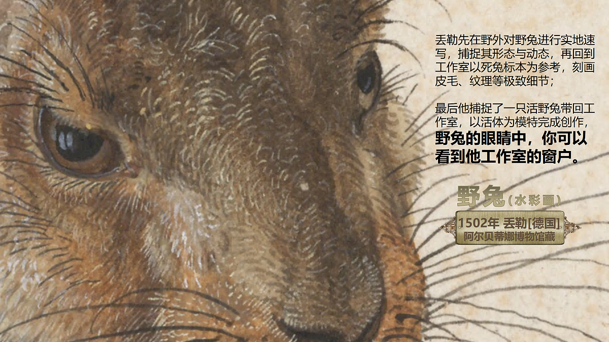 17992822第6页