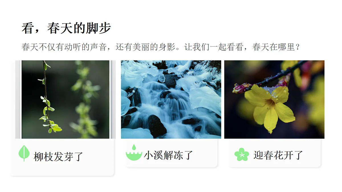 17993686第4页