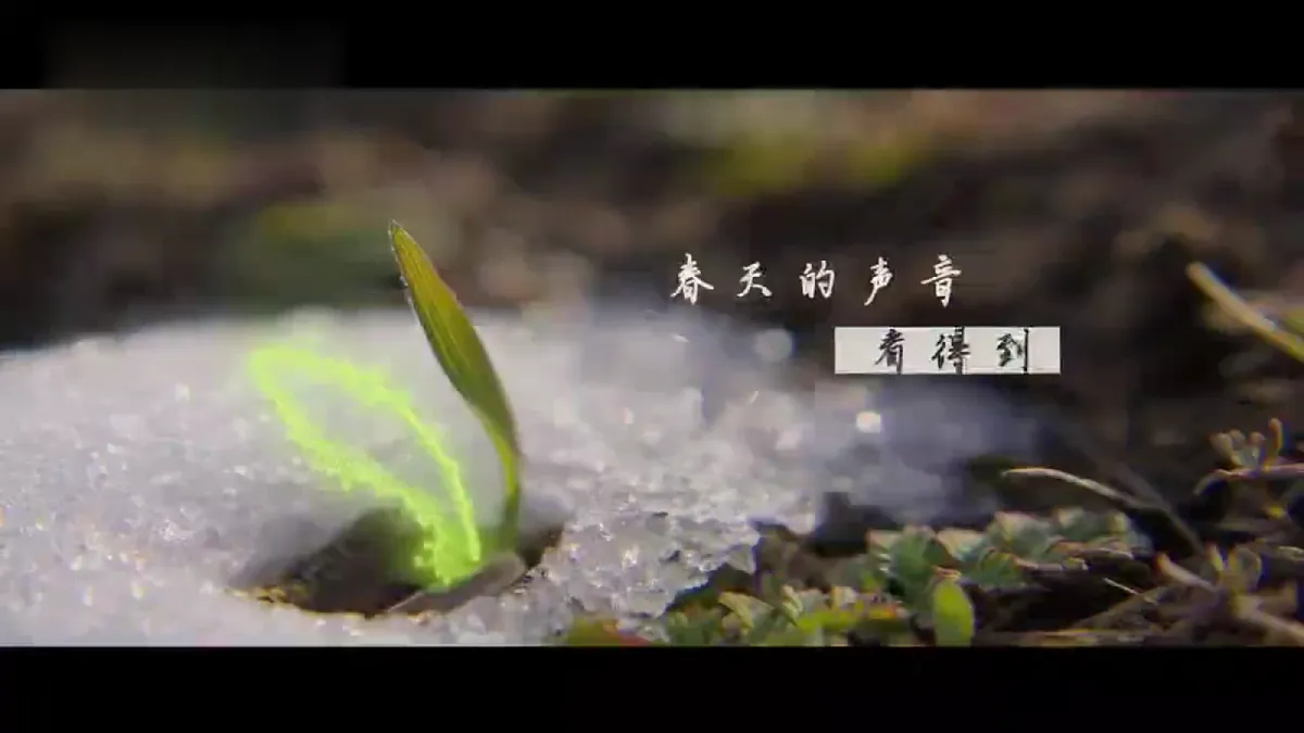 17993686第5页