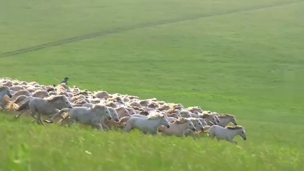 17993688第4页