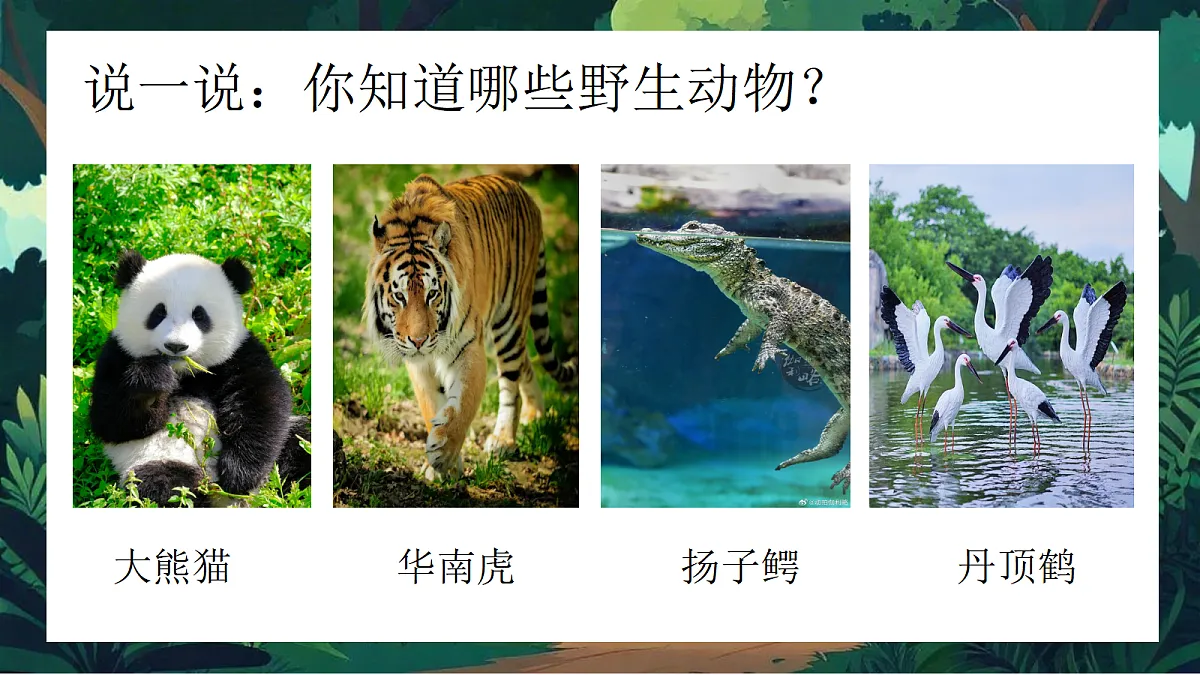 第一单元3动物保护第4页