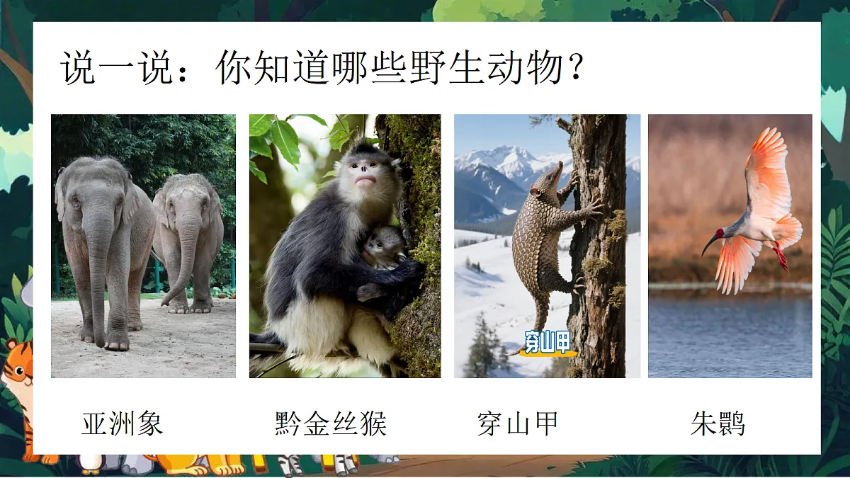 第一单元3动物保护第5页
