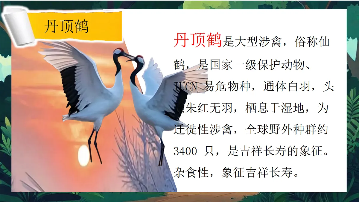 第一单元3动物保护第6页