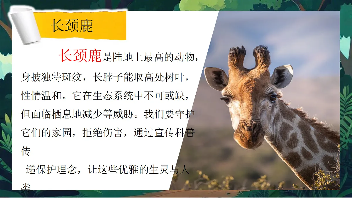 第一单元3动物保护第7页