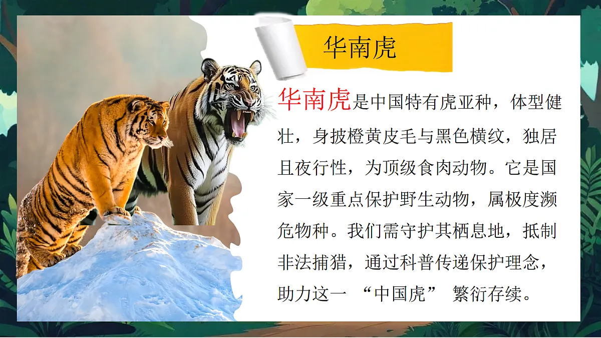 第一单元3动物保护第8页