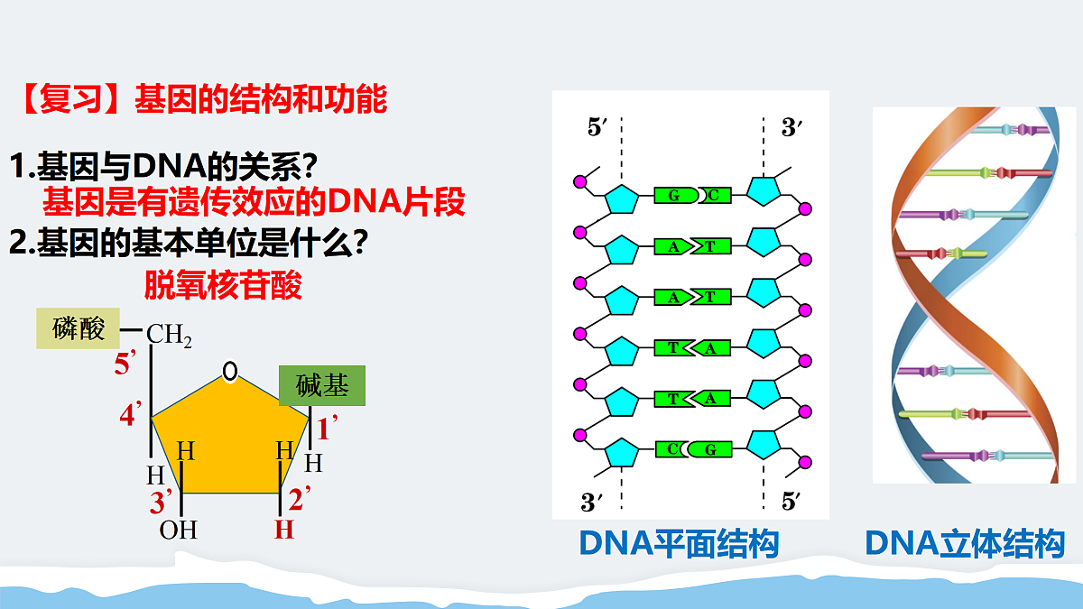 17995549第2页