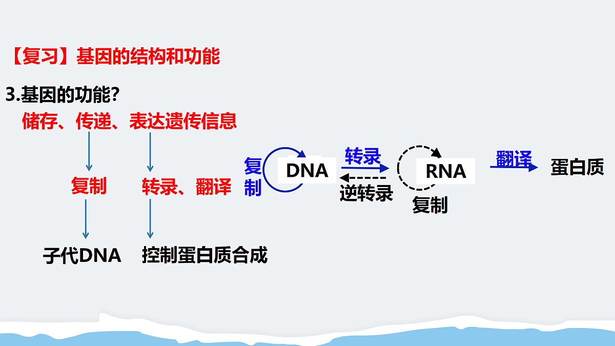 17995549第3页